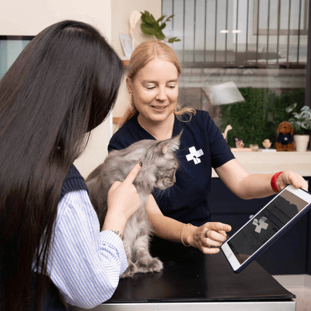 International In-house vets