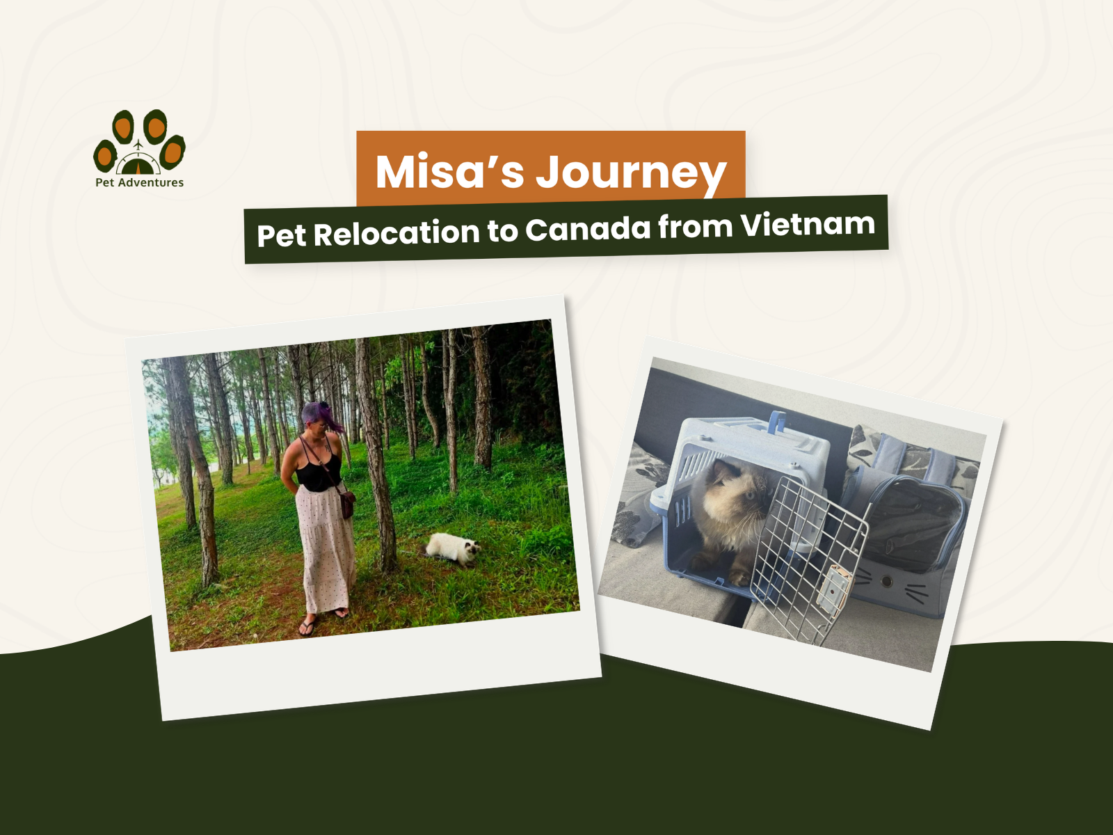 Pet Relocation to Canada from Vietnam: Misa’s Journey and What Pet Owners Should Know