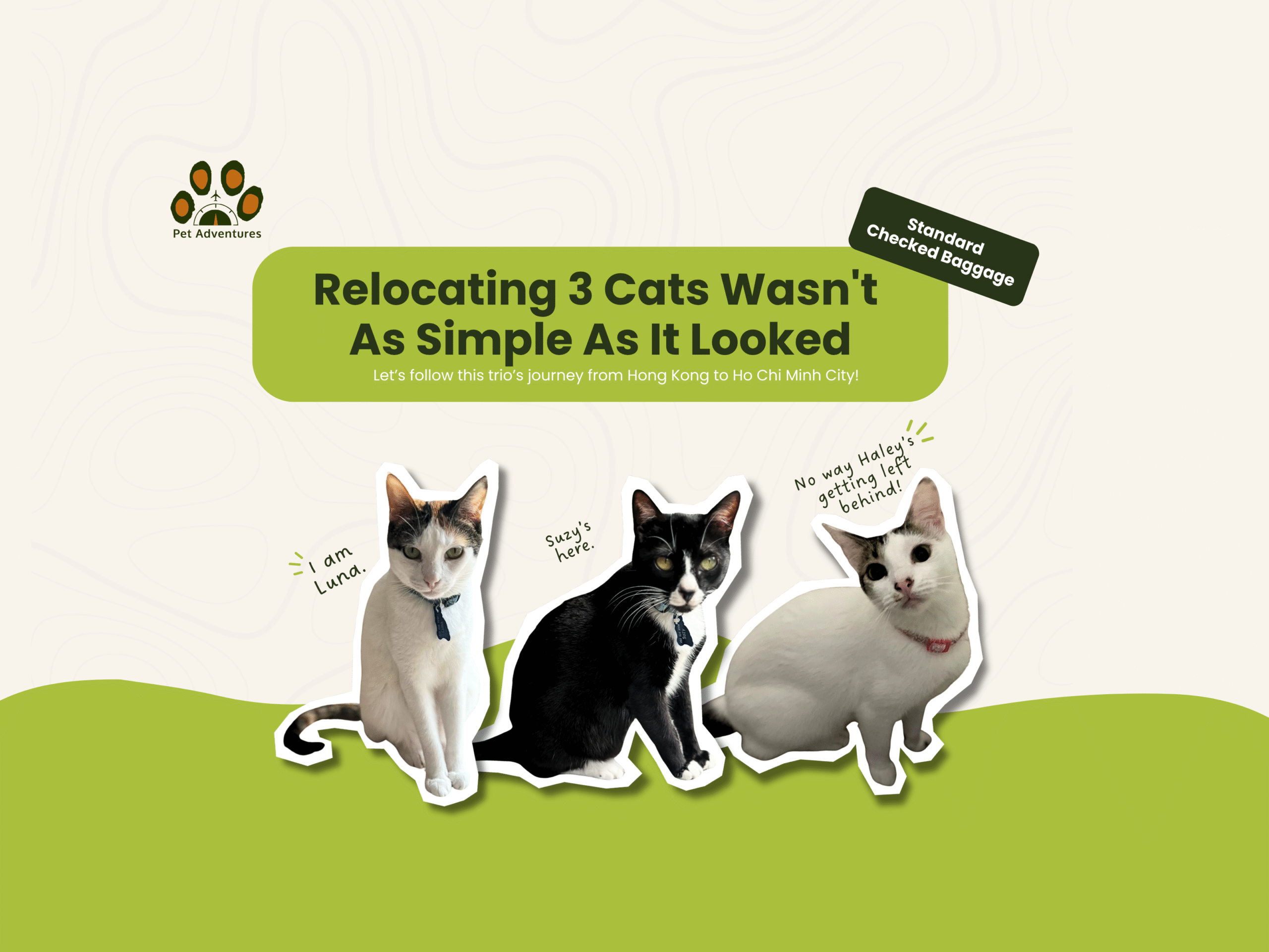 Traveling with Pets: Daniela’s Hong Kong to Ho Chi Minh City Journey When Export and Import Requirements Didn’t Match